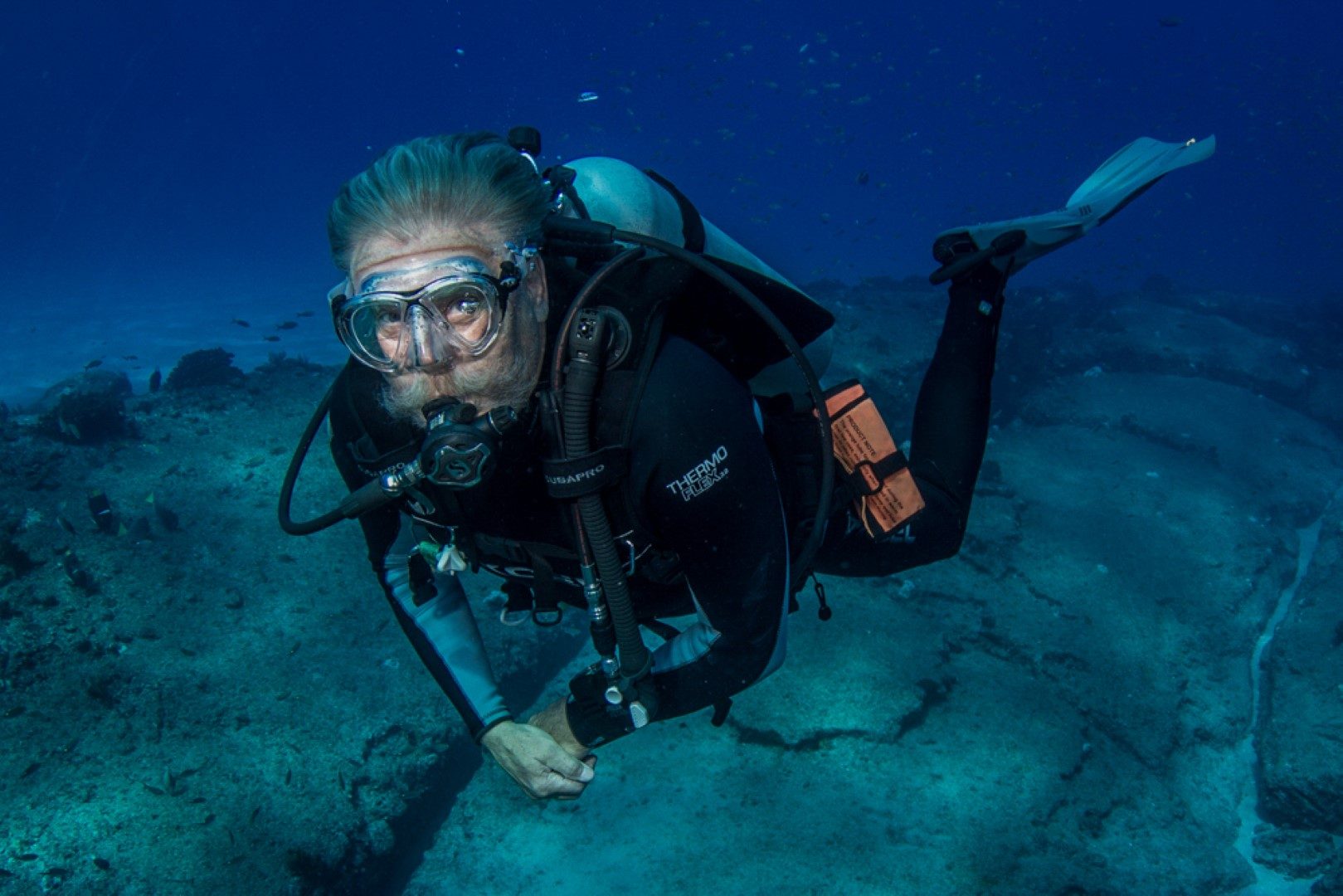 Diver exploring a rocky reef in Cabo Pulmo National Marine Park Diver exploring a rocky reef in Cabo Pulmo National Marine Park