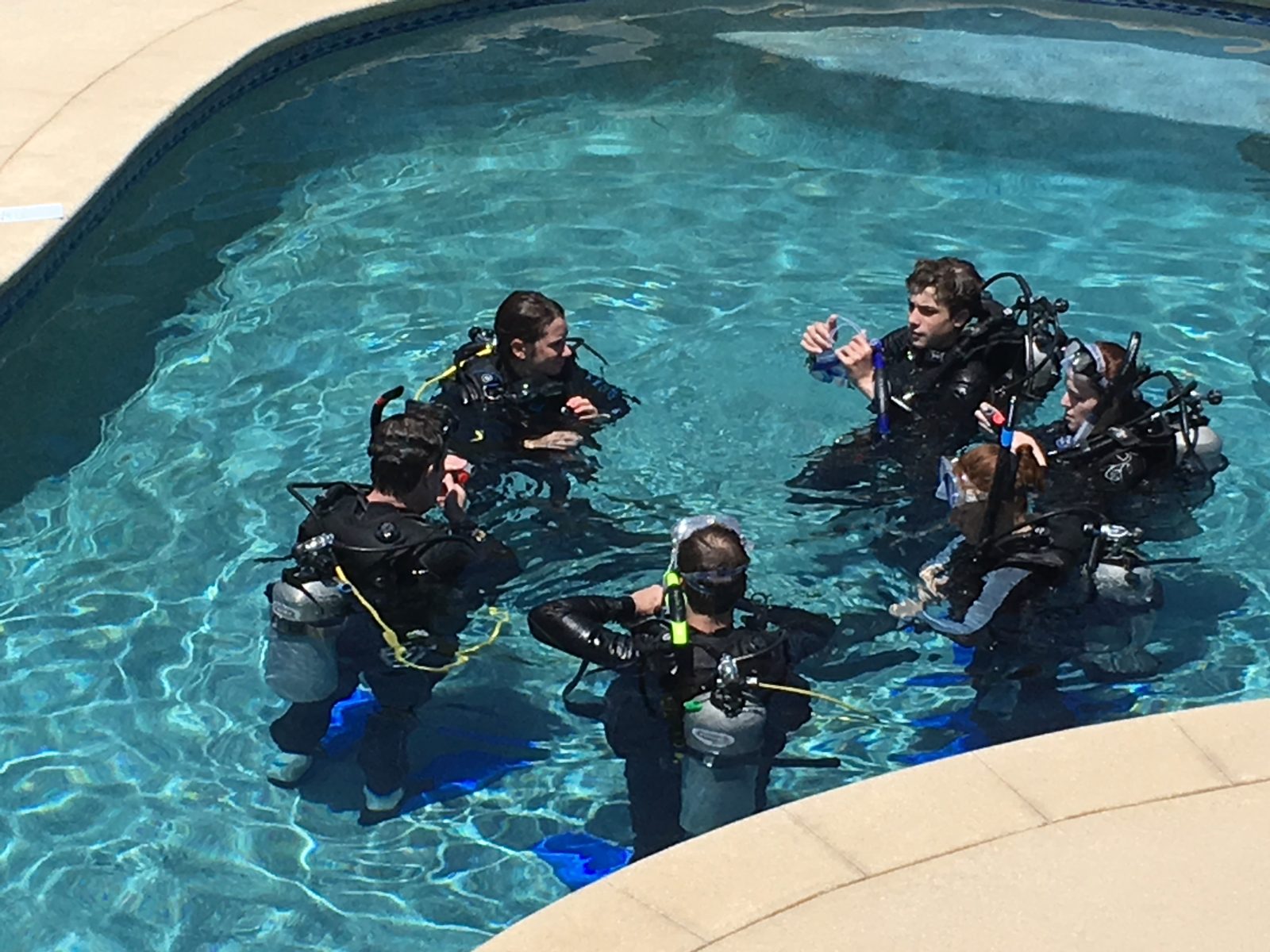 Instructor PADI enseñando a un grupo de alumnos en la alberca de entrenamiento de Cabo Pulmo Dive Center Instructor PADI enseñando a un grupo de alumnos en la alberca de entrenamiento de Cabo Pulmo Dive Center
