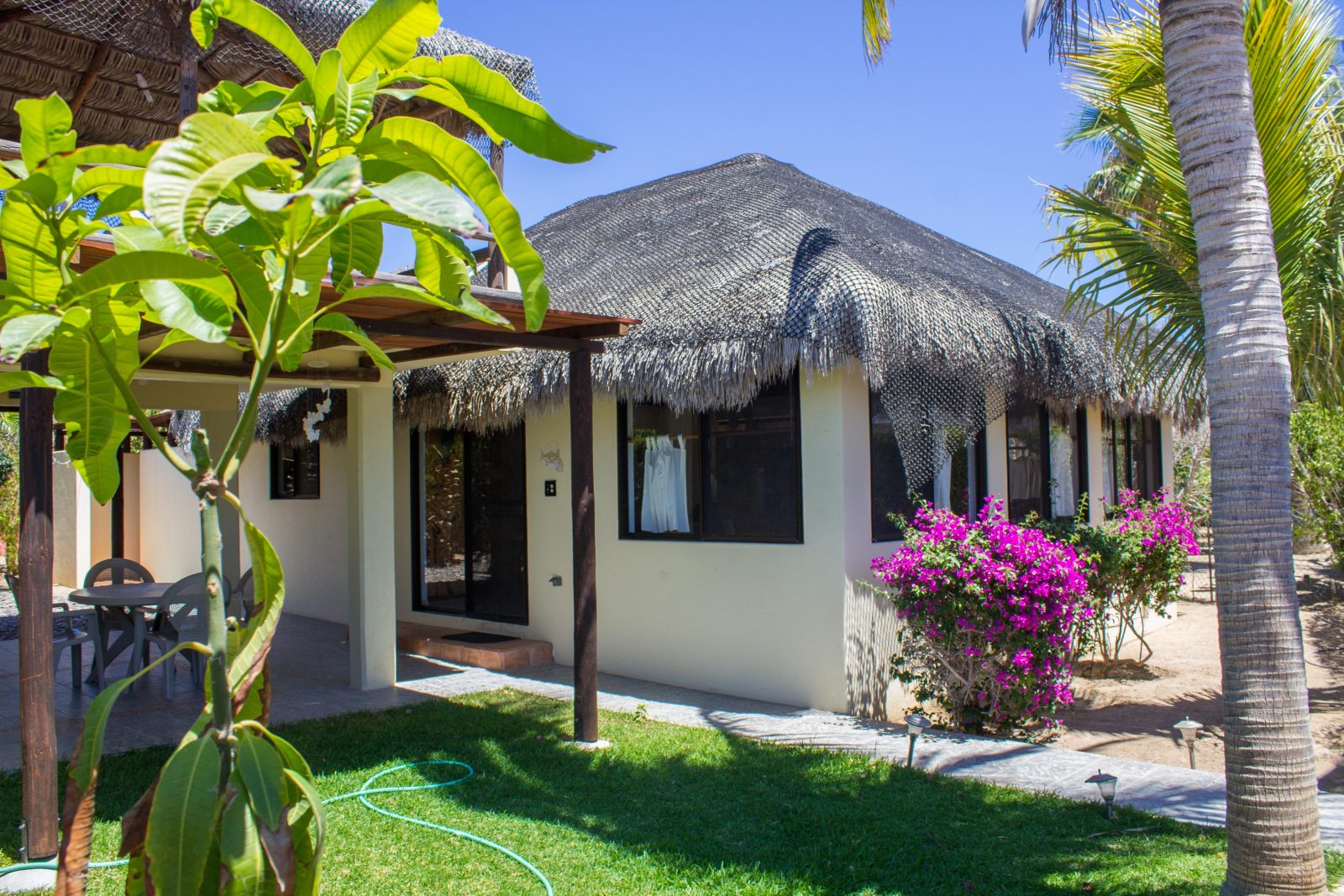 Palapa-roofed villa with garden at Cabo Pulmo Beach Resort, a two-minute walk from the dive shop